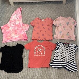 2T girls top bundle